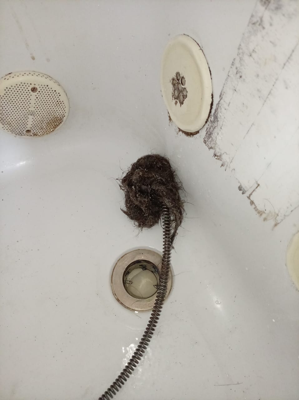Cabello extraído de una tubería
